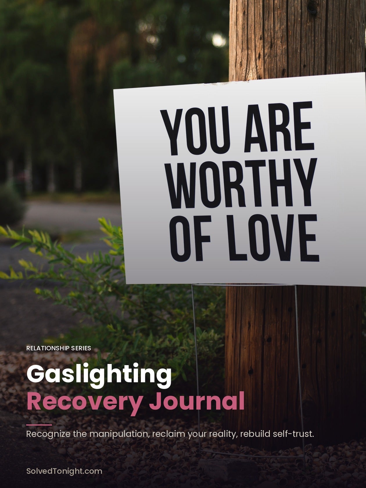 Gaslighting Recovery Journal