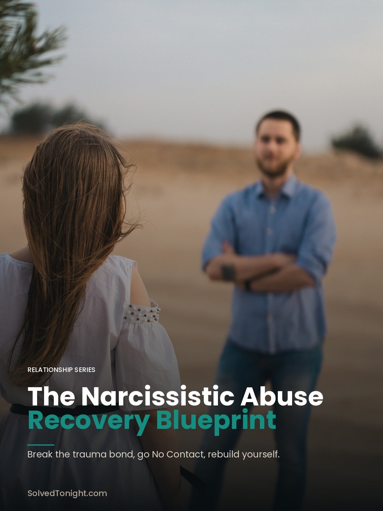 The Narcissistic Abuse Recovery Blueprint